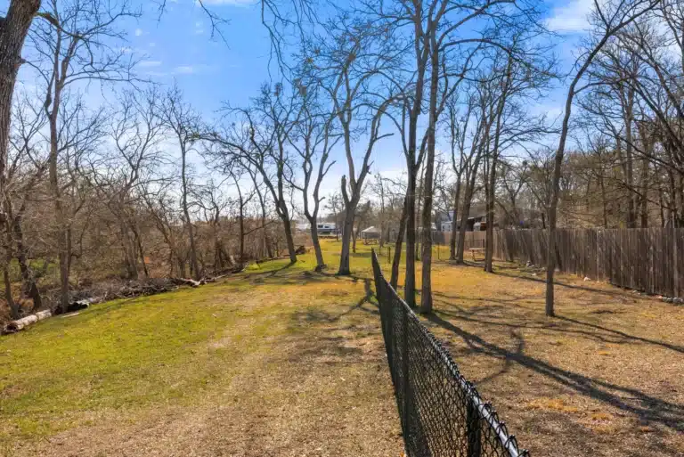 Dog Park